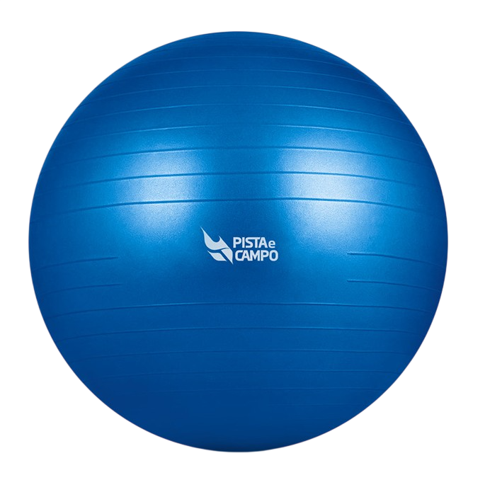 Bola de Pilates Gym Ball 55cm Antiestouro com Bomba Pista e Campo