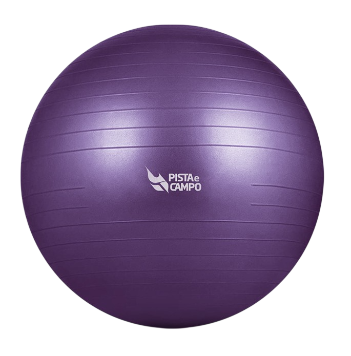 Bola de Pilates Gym Ball 75cm Antiestouro com Bomba Pista e Campo