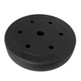 Anilha Emborrachada 10Kg Cement Furo 31mm Envolst