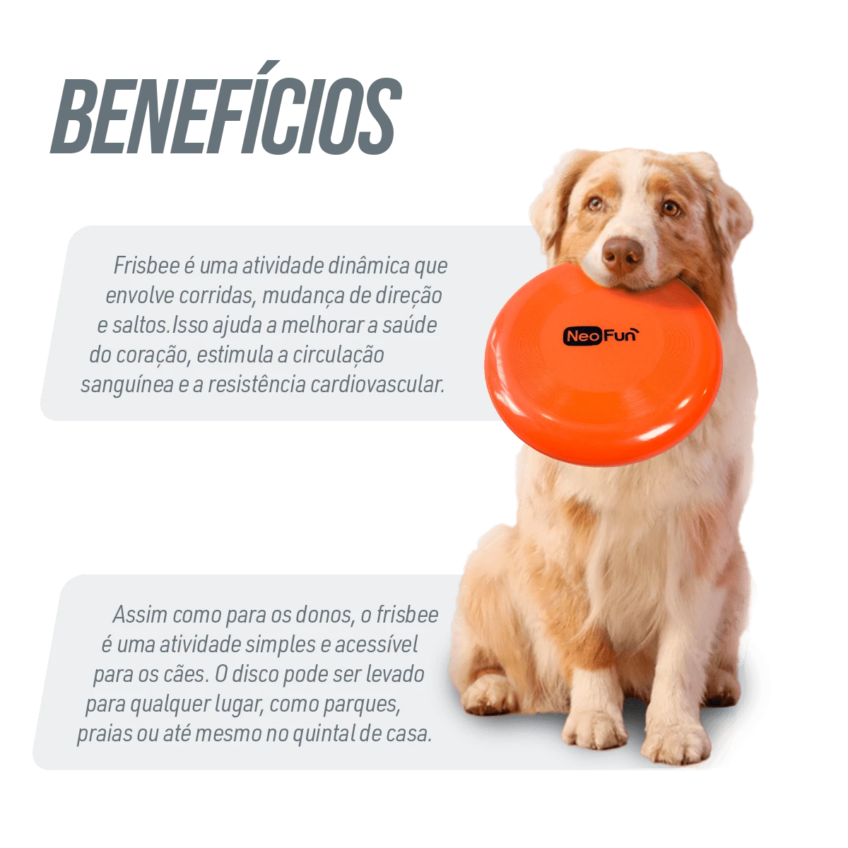 Frisbee de plástico macio soft para recreação Neofun Laranja