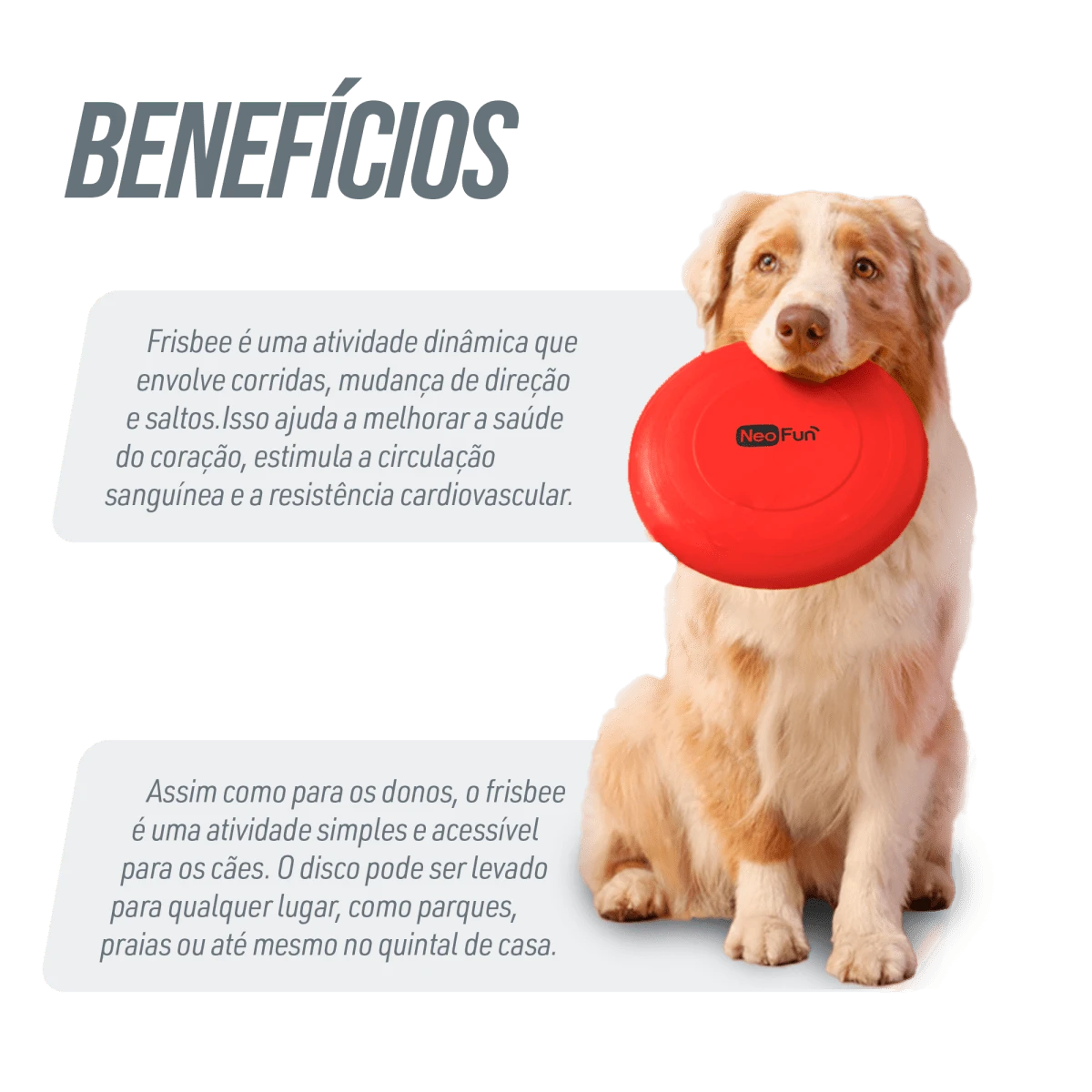 Frisbee de plástico para recreação Neofun - Verde