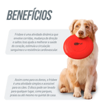 Frisbee de plástico para recreação Neofun - Verde