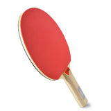 Kit Ping Pong E Tênis De Mesa Com Rede Retrátil 1,60m raquete borrachas