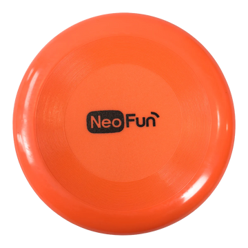 Frisbee Infantil 24cm Plástico Macio NeoFun