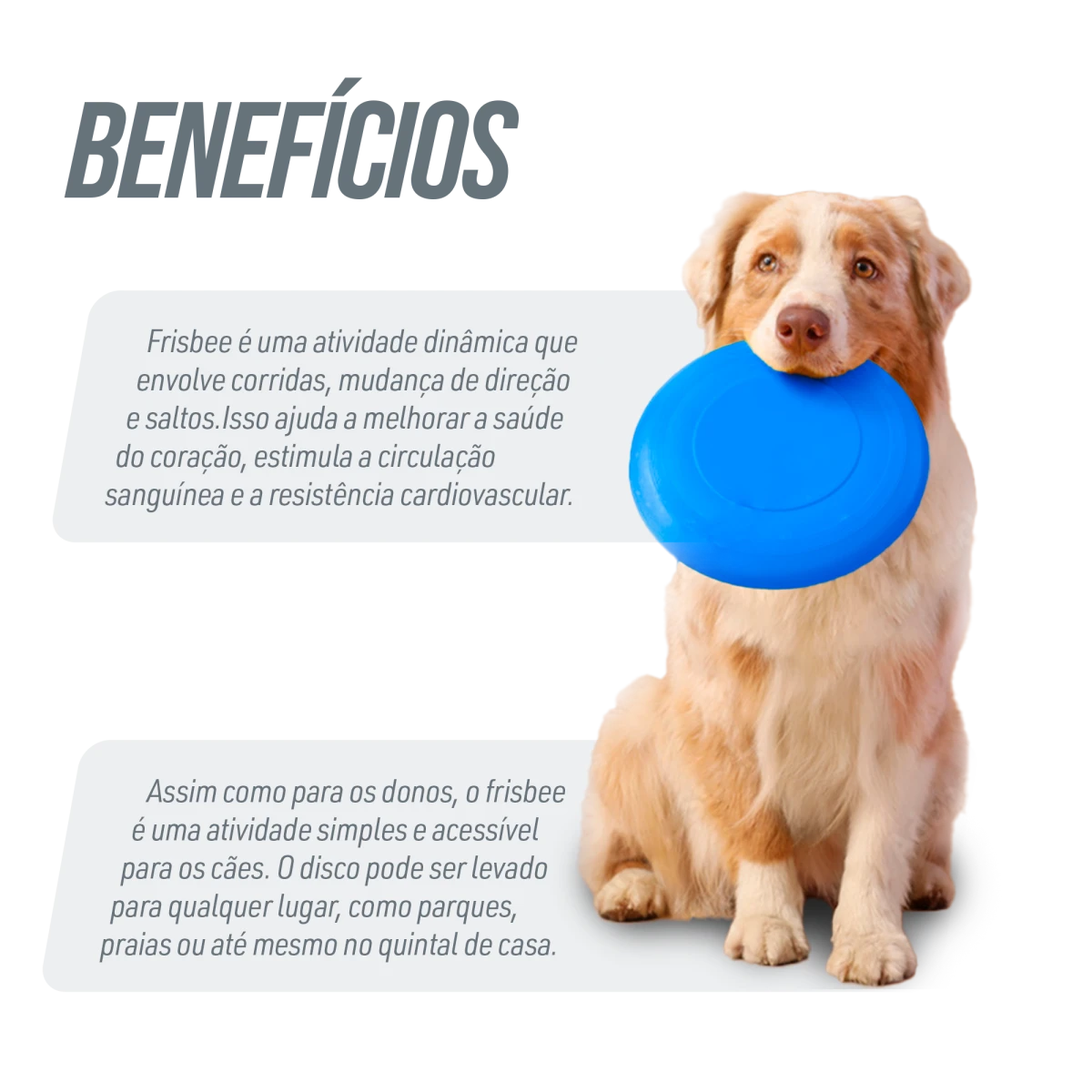 Frisbee de plástico para recreação Pista e Campo - Azul