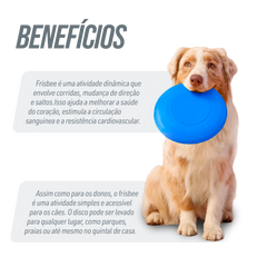 Frisbee de plástico para recreação Pista e Campo - Azul