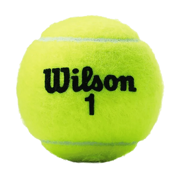 Bola de Tênis Wilson Championship Regular Duty Tubo 3un