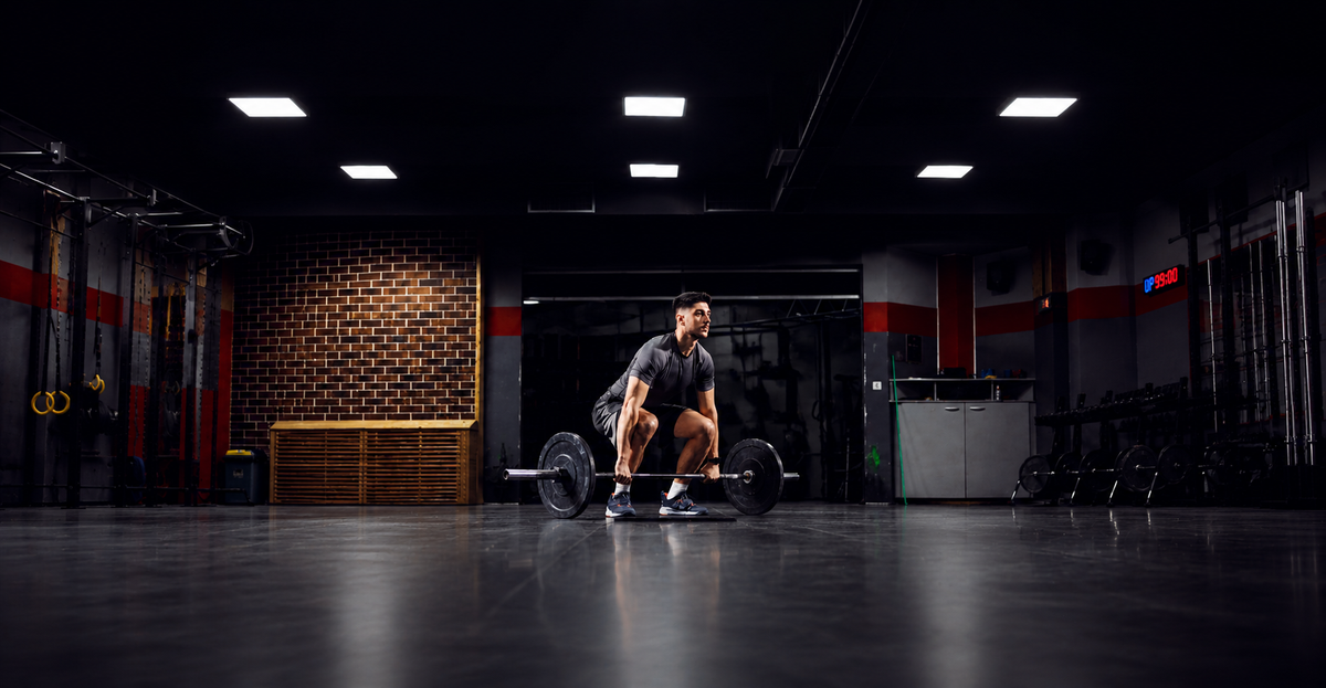 Anilhas e Barras de Musculação: Como escolher a compatível