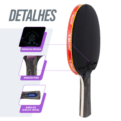 Raquete de Tênis de Mesa Jintai Astra — Alta Performance Aprovada pela ITTF