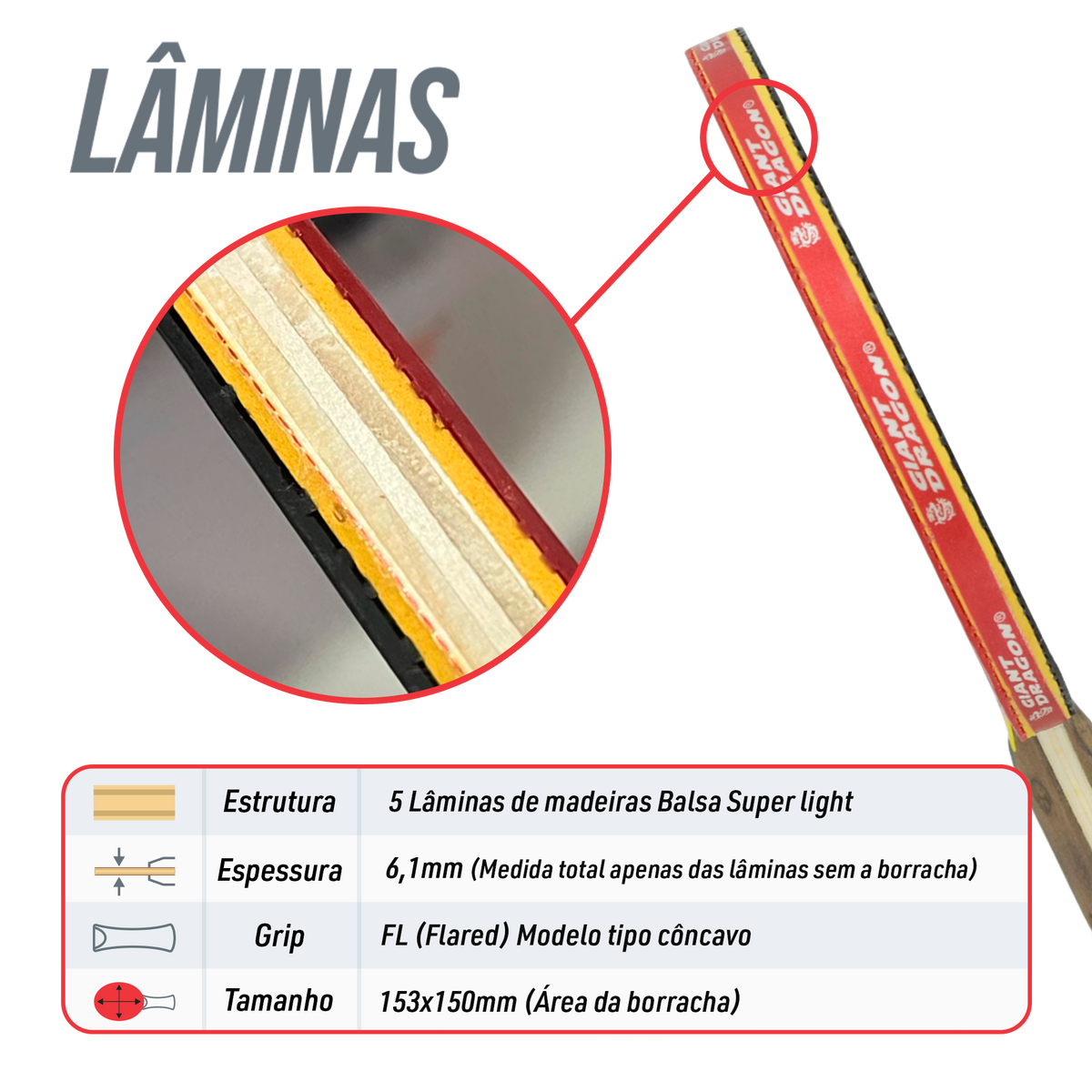 Raquete de Tênis de Mesa Giant Dragon TopEnergy 5 Estrelas