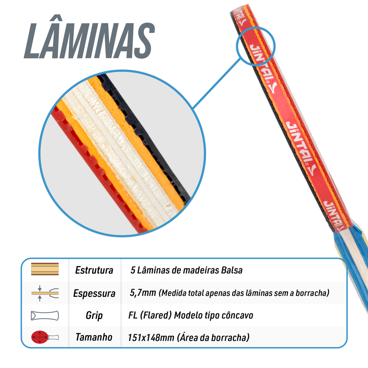 Raquete de Tênis de Mesa Jintai Stelar 4 Estrelas — Lâmina 5 Camadas