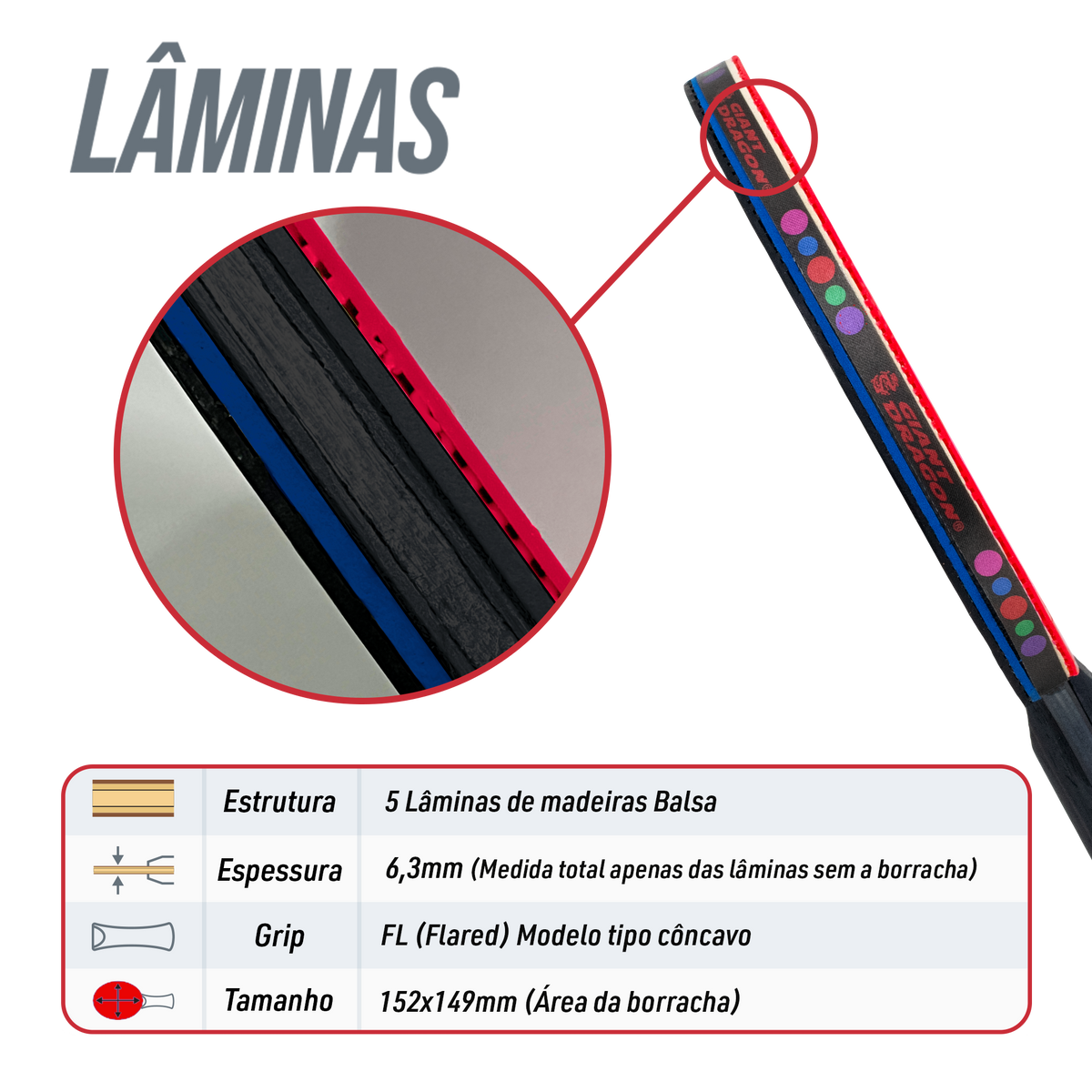 Raquete Tênis de Mesa Commander Giant Dragon 5 Estrelas ITTF