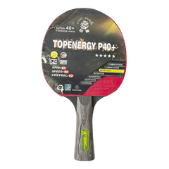 Raquete de Tênis de Mesa Giant Dragon TopEnergy 5 Estrelas