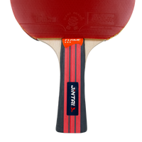 Raquete de Tênis de Mesa Jintai Flame — Borracha Aprovada pela ITTF