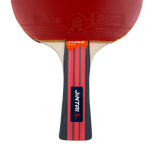 Raquete de Tênis de Mesa Jintai Flame — Borracha Aprovada pela ITTF