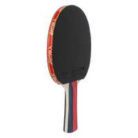 Raquete de Tênis de Mesa Jintai Flame — Borracha Aprovada pela ITTF