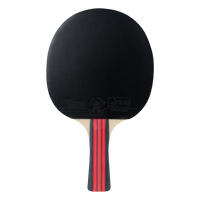 Raquete de Tênis de Mesa Jintai Flame — Borracha Aprovada pela ITTF