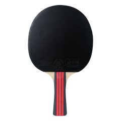 Raquete de Tênis de Mesa Jintai Flame — Borracha Aprovada pela ITTF