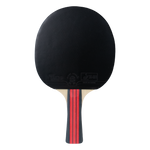 Raquete de Tênis de Mesa Jintai Flame — Borracha Aprovada pela ITTF