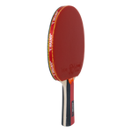 Raquete de Tênis de Mesa Jintai Flame — Borracha Aprovada pela ITTF