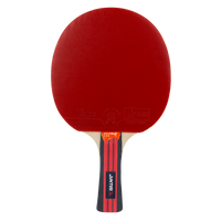 Raquete de Tênis de Mesa Jintai Flame — Borracha Aprovada pela ITTF