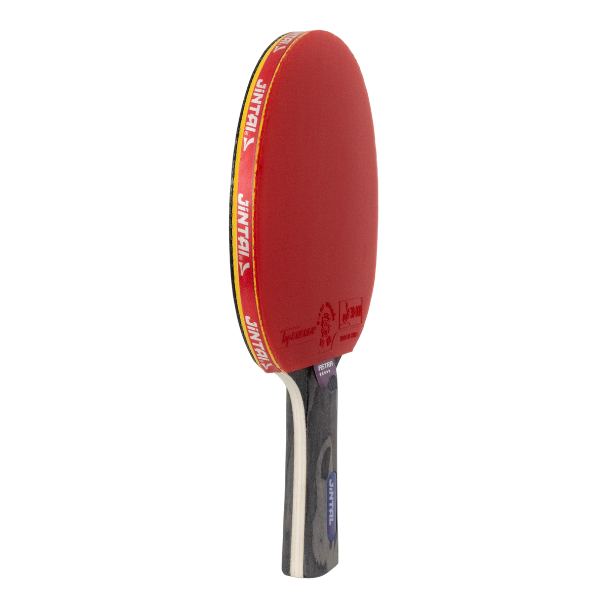 Raquete de Tênis de Mesa Jintai Astra — Alta Performance Aprovada pela ITTF
