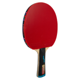Kit Tênis de Mesa Giant Dragon Future 7 Estrelas Aprovada ITTF e Bolsa