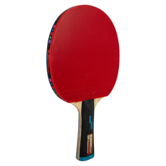 Kit Tênis de Mesa Giant Dragon Future 7 Estrelas Aprovada ITTF e Bolsa
