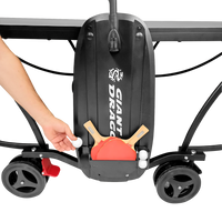 Mesa Tênis De Mesa Com Paredão MDF 15mm Giant Dragon