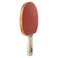 Raquete de Tênis de Mesa Giant Dragon Taichi 3 Estrelas ITTF