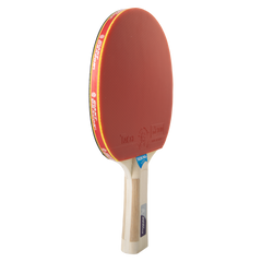Raquete de Tênis de Mesa Giant Dragon Taichi 3 Estrelas ITTF