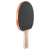 Raquete de Tênis de Mesa Giant Dragon Taichi 3 Estrelas ITTF