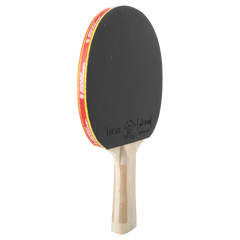 Raquete de Tênis de Mesa Giant Dragon Taichi 3 Estrelas ITTF