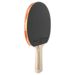 Raquete de Tênis de Mesa Giant Dragon Taichi 3 Estrelas ITTF