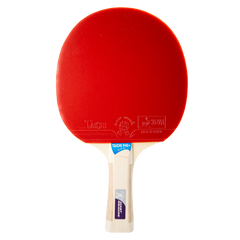 Raquete de Tênis de Mesa Giant Dragon Taichi 3 Estrelas ITTF