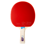 Raquete de Tênis de Mesa Giant Dragon Taichi 3 Estrelas ITTF