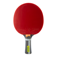 Raquete de tênis de mesa 7 estrelas Superveloce Giant Dragon