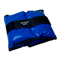 Caneleira Tornozeleira de Peso 6 kg Envolst – Par