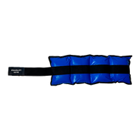 Caneleira Tornozeleira de Peso 6 kg Envolst – Par