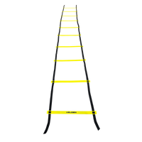 Escada de agilidade com degraus ajustáveis de plástico 5m de comprimento Velden