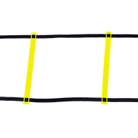 Escada de agilidade com degraus ajustáveis de plástico 5m de comprimento Velden