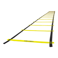Escada de agilidade com degraus ajustáveis de plástico 6m de comprimento Velden