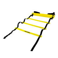 Escada de agilidade com degraus ajustáveis de plástico 6m de comprimento Velden