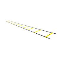 Escada de agilidade com degraus ajustáveis de plástico 6m de comprimento Velden