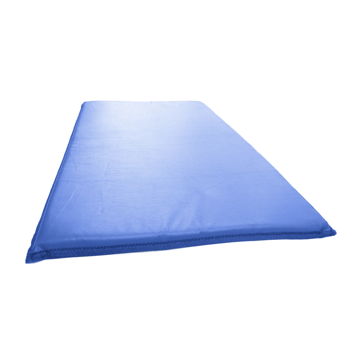 Colchonete de ginástica Espuma Aglomerada 1,00 x 0,60 x 0,03m premium Envolst - Azul
