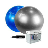 Bola Suíça Gym Ball 75cm Anti Estouro Envolst - Azul
