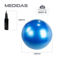 Bola Suíça Gym Ball 55cm Anti Estouro Envolst - Cinza
