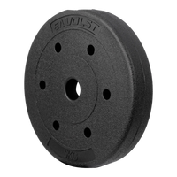 Anilha Emborrachada 5Kg Cement Furo 31mm Envolst