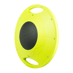 Disco de Equilíbrio Rígido Profissional com alças Envolst