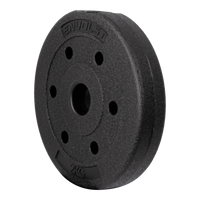 Anilha Emborrachada 2Kg Cement Furo 31mm Envolst